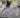Troy Grey Distressed Floral Rug