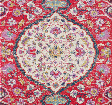 Area Rug - Eden EDN120B