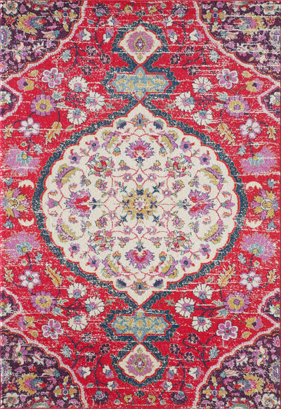 Area Rug - Eden EDN120B